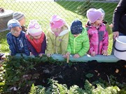 Sklízíme úrodu na školní zahrádce